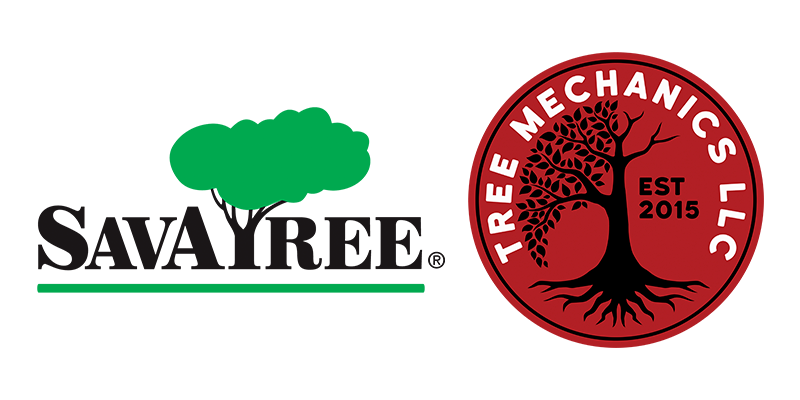 SavATree_TreeMechanics_Announcement (1)